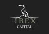 Ibex Capital